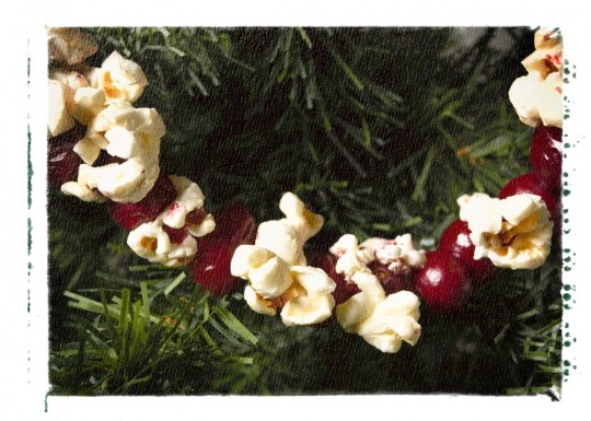 Christmas edible decorations